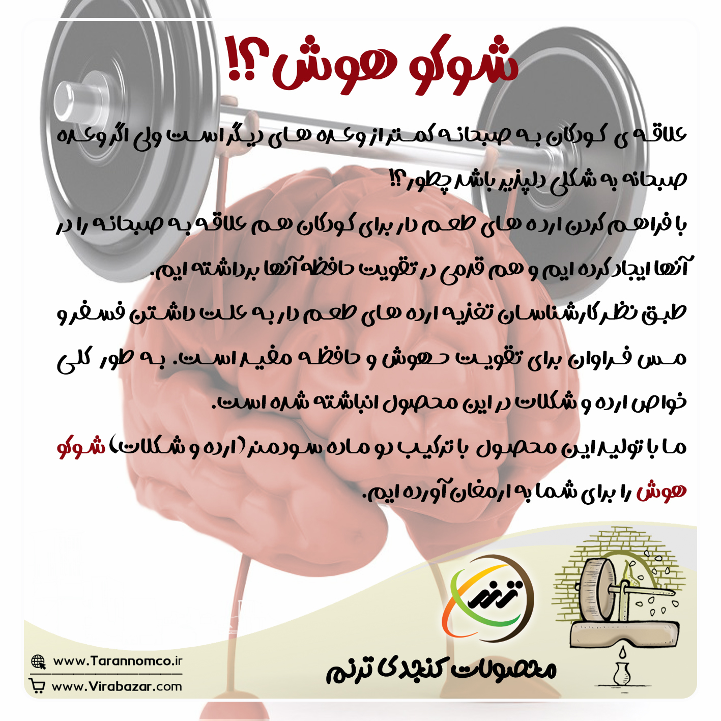 شوکو هوش؟!